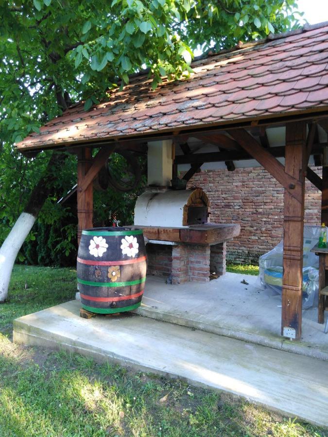 Umjetnicka Etno Kuca Luka Lägenhet Podravske Sesvete Exteriör bild